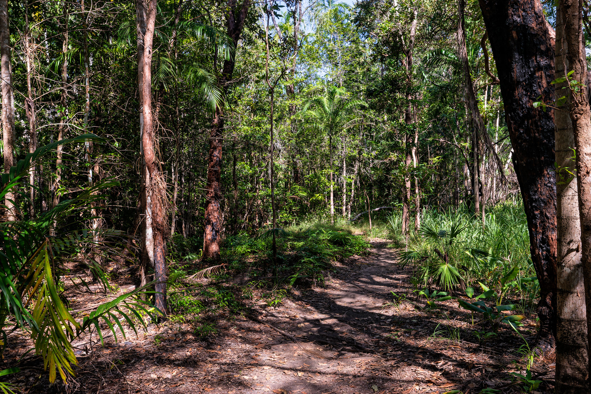 Litchfield National Park - Tjaetaba Wasserfälle